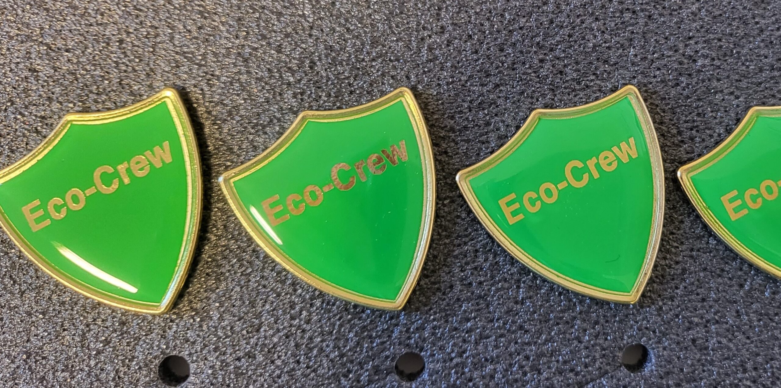 Empowering children to look after our planet: my journey supporting St Swithun’s Primary School on its sustainability journey, September 2022–April 2023